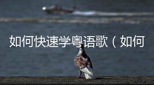 如何快速學粵語歌（如何快速學粵語）