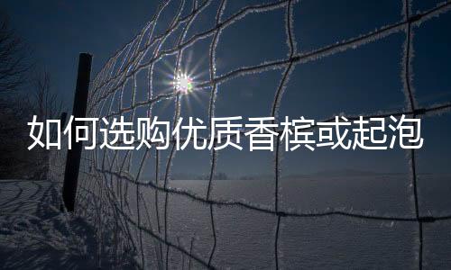如何選購優質香檳或起泡酒