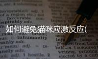 如何避免貓咪應激反應(避免貓咪應激吃的藥)