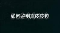 如何鑒別真皮皮包