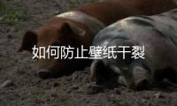如何防止壁紙干裂