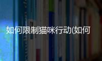 如何限制貓咪行動(dòng)(如何讓貓咪不長(zhǎng)大)