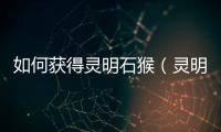 如何獲得靈明石猴（靈明石猴獲得方法）