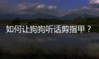 如何讓狗狗聽話剪指甲？怎么給不聽話的狗剪指甲
