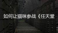 如何讓貓咪參戰《任天堂大亂斗》？油管主操碎了心