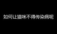如何讓貓咪不得傳染病呢？如何讓貓咪不得傳染病病毒