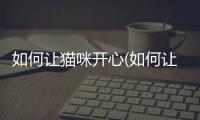 如何讓貓咪開心(如何讓貓咪親人)