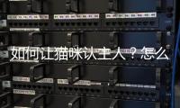 如何讓貓咪認(rèn)主人？怎么才能讓貓咪認(rèn)主