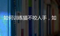 如何訓練貓不咬人手，如何訓練貓不咬人