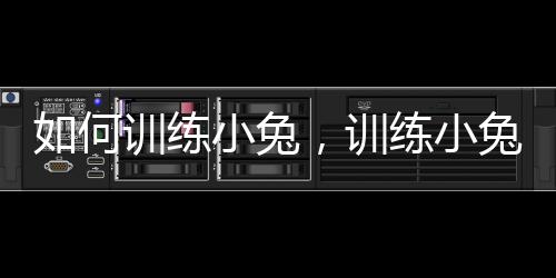如何訓練小兔，訓練小兔子的四個基本方法