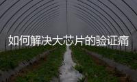如何解決大芯片的驗(yàn)證痛點(diǎn)