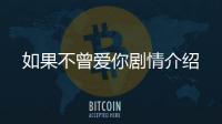 如果不曾愛你劇情介紹