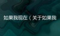 如果我現在（關于如果我現在的基本情況說明介紹）