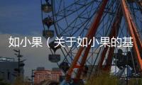 如小果（關于如小果的基本情況說明介紹）