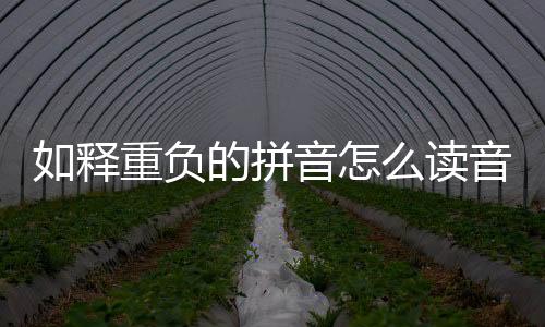 如釋重負的拼音怎么讀音（如釋重負的拼音）
