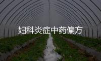 婦科炎癥中藥偏方