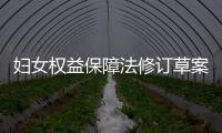 婦女權益保障法修訂草案三審 促進男女平等！！