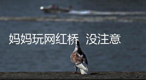 媽媽玩網(wǎng)紅橋  沒注意兒子落入水中