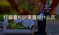 妊娠囊和卵黃囊有什么區別