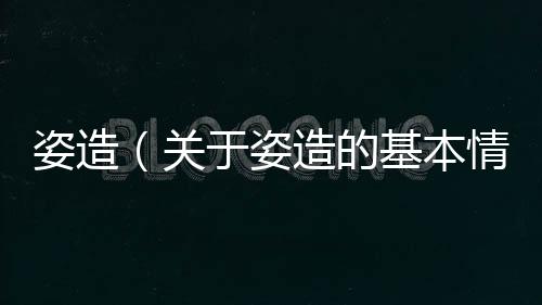 姿造（關于姿造的基本情況說明介紹）