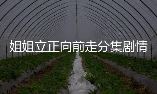 姐姐立正向前走分集劇情詳細介紹第18集
