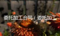 委托加工合同（委托加工）