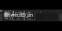 委(wěi)勁(jìn)看點是什么?