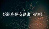 始祖鳥是安踏旗下的嗎（被中國安踏收購的始祖鳥）