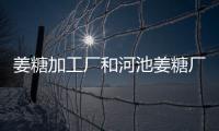 姜糖加工廠和河池姜糖廠家的詳細介紹