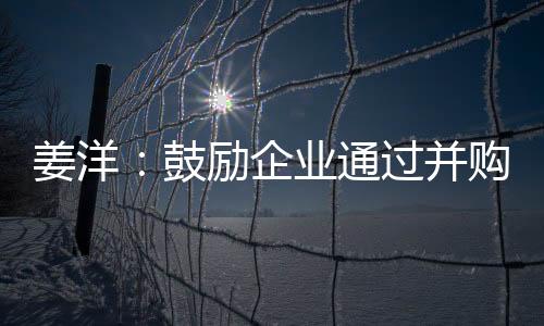姜洋：鼓勵(lì)企業(yè)通過并購重組進(jìn)行產(chǎn)業(yè)整合