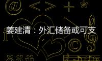 姜建清：外匯儲備或可支持企業“走出去”