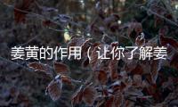 姜黃的作用（讓你了解姜黃的藥用價值）