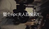 娶個npc夫人百度云txt（娶個npc夫人）