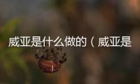 威亞是什么做的（威亞是什么）