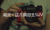 威武！這幾輛自主SUV品質(zhì)完爆合資