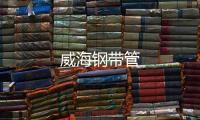 威海鋼帶管
