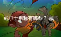 威爾士別稱有哪些？ 威爾士卡迪夫
