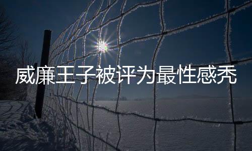 威廉王子被評為最性感禿頂男人 明星粉絲對此并不買賬