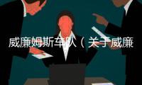 威廉姆斯車隊（關于威廉姆斯車隊的基本情況說明介紹）