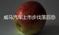 威馬汽車上市步伐落后恐失部分市場份額