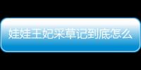 娃娃王妃采草記到底怎么回事?
