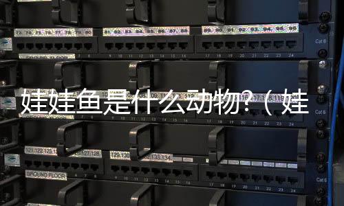 娃娃魚是什么動物?（娃娃魚是什么動物）