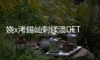 嬈х洘鍚屾剰鍒濇ETS鑸繍鍗忚