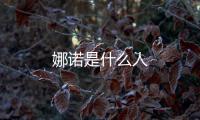 娜諾是什么人