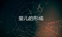 嬰兒的形成
