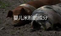 嬰兒米粉的成分