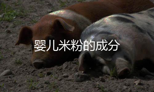 嬰兒米粉的成分