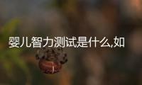 嬰兒智力測試是什么,如何進行嬰兒智力測試？