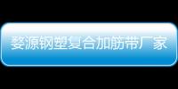 婺源鋼塑復(fù)合加筋帶廠家