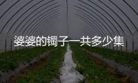 婆婆的鐲子一共多少集